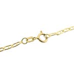 Gouden collier met bloedkoraal (Ketting), Gebruikt, Overige kleuren, Ophalen of Verzenden, Met edelsteen