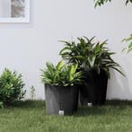 vidaXL Plantenbak uitneembare bak rattan-look 15/15,3 L PP, Verzenden, Nieuw, Kunststof