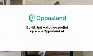 Hayley zoekt een oppas in Delfzijl voor 2 kinderen voor 7...