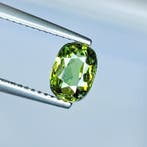 Zonder minimumprijs Demantoid - 1.11 ct - International, Nieuw