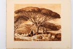 Maurice de Lambert - Sites choisis de Provence et de