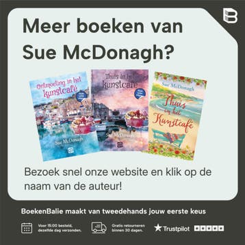 Zomer in het kunstcafe / Grote letter bibliotheek / 3987, Verzenden, Zo goed als nieuw, Sue McDonagh