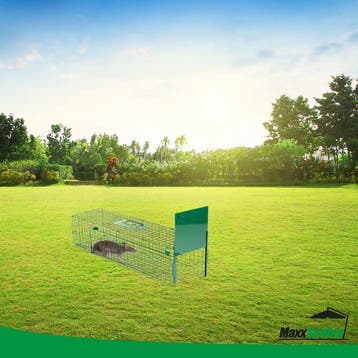 MaxxGarden Vangkooi - Rattenval opvouwbaar 80x25x30cm (Dier), Verzenden, Nieuw