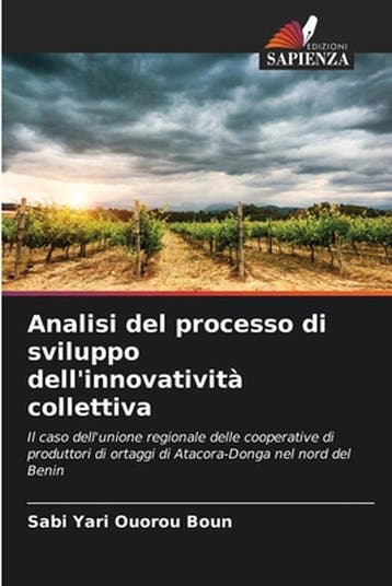 9786204173009 Analisi del processo di sviluppo dellinnov..., Verzenden, Nieuw, Sabi Yari Ouorou Boun
