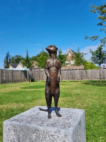 Beeld, Bronze Meerkat - 28 cm - Brons, Antiek en Kunst
