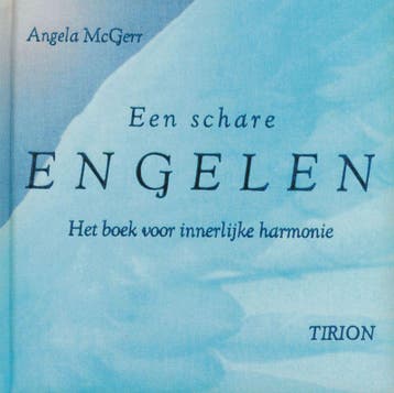 Een schare engelen - Angela MacGerr 9789043904308, Verzenden, Gelezen, Angela MacGerr