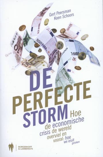 De perfecte storm - Koen Schoors 9789089313195, Verzenden, Gelezen, Koen Schoors