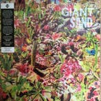 lp nieuw - Giant Sand - Returns To Valley Of Rain, Verzenden, Zo goed als nieuw