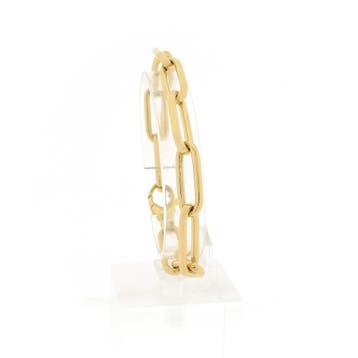 Schaap-/-Citroen gouden anker schakelarmband, Ophalen of Verzenden, Gebruikt, Goud, Goud