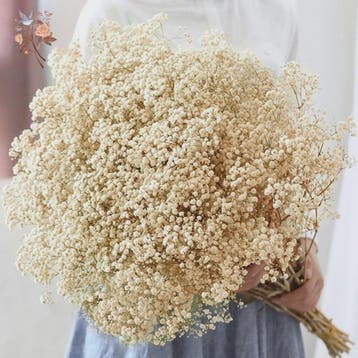 60g Gedroogde Baby's Breath Bloemboeket - Natuurlijke Gypsop, Verzenden, Nieuw