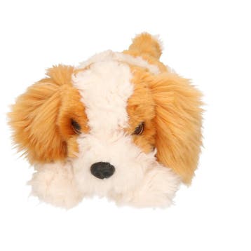 King Charles Spaniel puppy knuffel - pluche - 25 cm - Keel, Verzenden, Nieuw