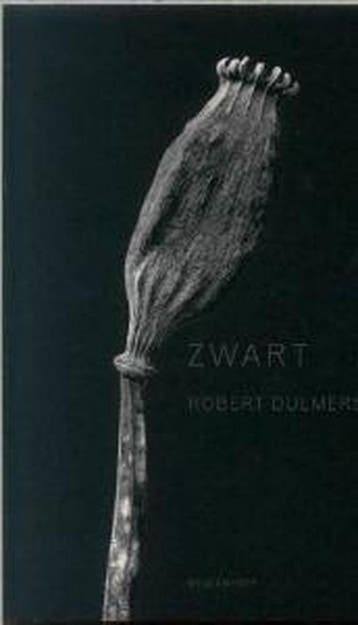 Zwart - R. Dulmers 9789029073110, Verzenden, Zo goed als nieuw, R. Dulmers