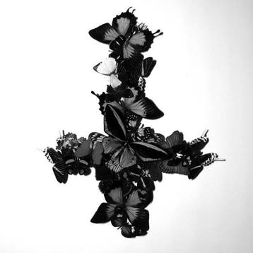 cd - Monarch - Never Forever, Verzenden, Nieuw in verpakking
