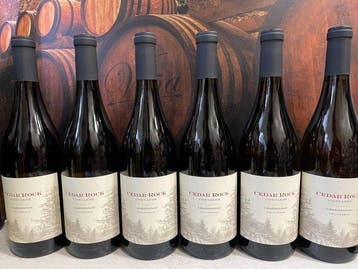 2020 Cedar Rock Vineyards Chardonnay - Californië - 6, Nieuw