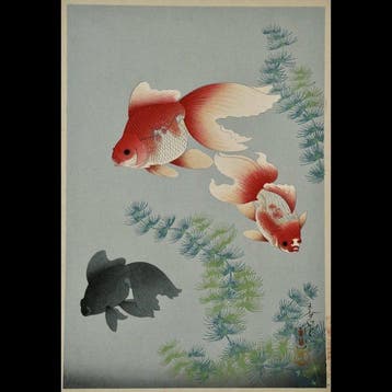 no Bakufu /  (1888–1976) Dai Nippon Gyorui Gash: