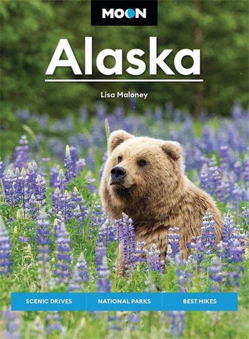 9798886470543 Moon Alaska Lisa Maloney, Boeken, Verzenden, Nieuw, Lisa Maloney