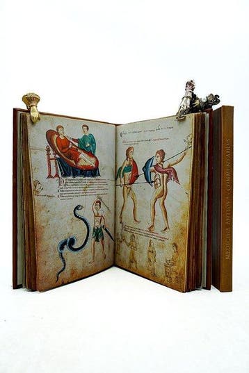 Marthe Dulong - Medicina Antiqua / Medicina, Antiek en Kunst, Antiek | Boeken en Bijbels