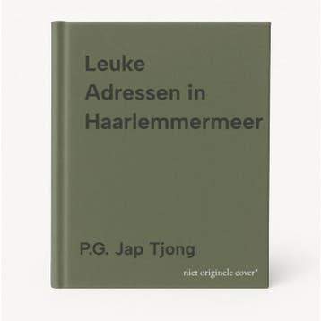 Leuke Adressen in Haarlemmermeer - P.G. Jap Tjong, Boeken, Verzenden, Zo goed als nieuw, P.G. Jap Tjong