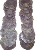 Capiz Camar schelpen Lila 500 gram, Ophalen of Verzenden, Nieuw