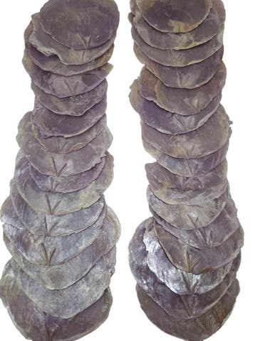 Capiz Camar schelpen Lila 500 gram, Ophalen of Verzenden, Nieuw