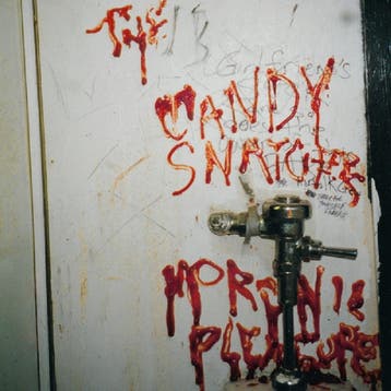 lp nieuw - the candy snatchers - MORONIC PLEASURES (nieuw), Verzenden, Zo goed als nieuw, Overige formaten