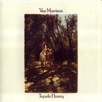 cd - Van Morrison - Tupelo Honey, Verzenden, Zo goed als nieuw