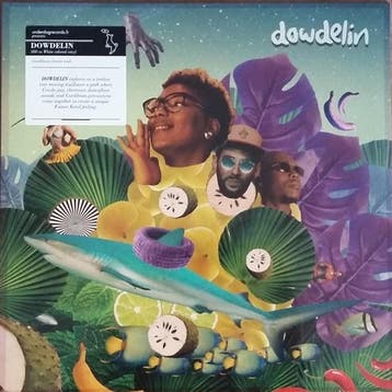 lp nieuw - dowdelin - CARNAVAL ODYSSEY (nieuw), Verzenden, Zo goed als nieuw, Overige formaten
