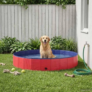 vidaXL Honden zwembad Ø200 x 30 cm Dik PVC Rood, Dieren en Toebehoren, Honden-accessoires, Verzenden, Nieuw