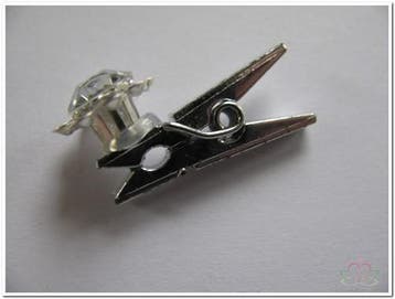 Flowerclip Metal Strassbloem knijpertjes 24 stuks, Ophalen of Verzenden, Nieuw