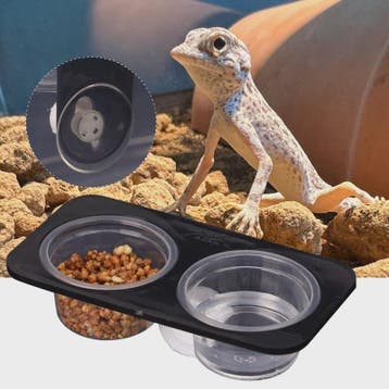 Voerbakje met Zuignap voor Reptielen en Amfibieën - Voer & W, Dieren en Toebehoren