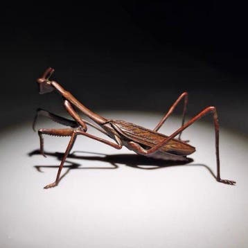 Movable pure copper mantis - Beeldje Koper - Japan (Zonder
