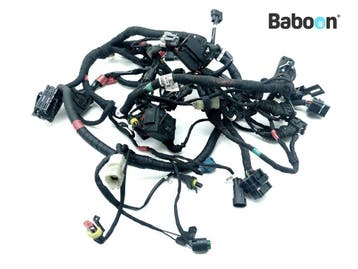 Kabelboom Ducati Monster 821 2017-2020 (M821) (510B281A), Verzenden, Gebruikt
