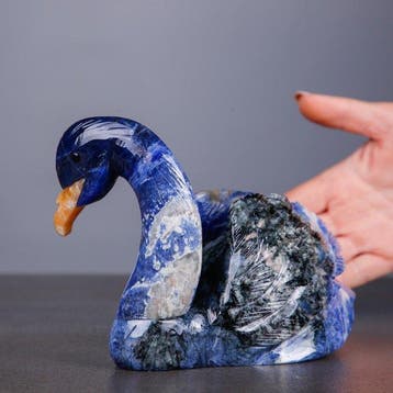 Sodalietzwaansculptuur uit Brazilië - Perfecte details -