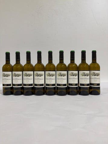 2023 Finca Montepedroso - Rueda - 9 Flessen (0.75 liter), Nieuw