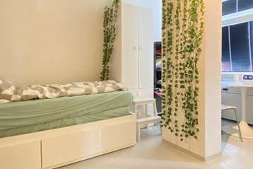 Studio Oostmaaslaan in Rotterdam, Huizen en Kamers, 20 tot 35 m², Rotterdam