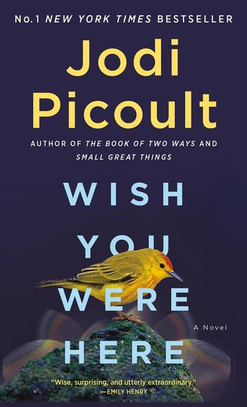 Wish You Were Here - Jodi Picoult 9780593598641, Verzenden, Gelezen, Jodi Picoult