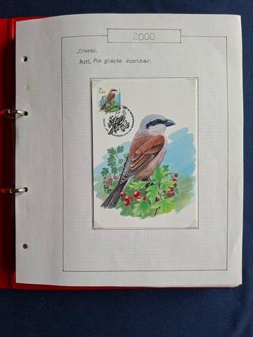 België 2000/2007 - Vogels Andre Buzin, verzameling, Gestempeld