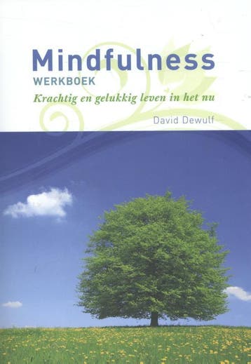 Mindfulness werkboek 9789082428308 David Dewulf, Verzenden, Zo goed als nieuw, David Dewulf