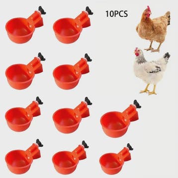 10x Automatische Kippen Drinkbakjes - Zelfwaterend voor Plui, Verzenden, Nieuw