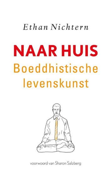 Naar huis 9789025904333 Ethan Nichtern, Verzenden, Gelezen, Ethan Nichtern