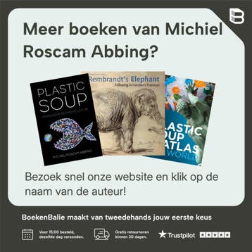 Rembrandt voor dummies - Michiel Roscam Abbing 9789045356532, Boeken, Kunst en Cultuur | Beeldend, Verzenden, Zo goed als nieuw