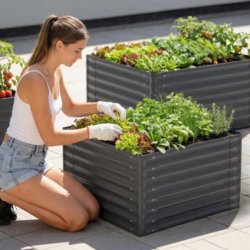 Verhoogde plantenbak Salvia verzinkt, verschillende maten, Verzenden, Nieuw