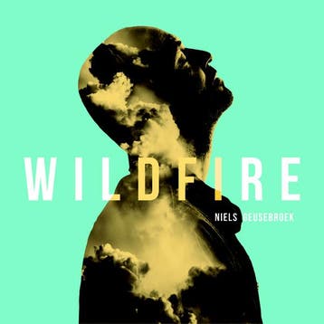 cd digi - Niels Geusebroek - Wildfire, Verzenden, Zo goed als nieuw