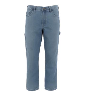 Dickies Broek in maat 26 Blauw, Dickies, Verzenden, Zo goed als nieuw, Blauw
