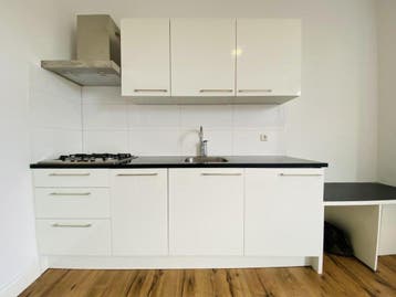 Te huur: Studio Larensestraat in Den Haag, Den Haag, Zuid-Holland
