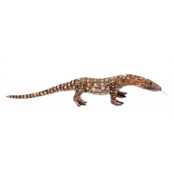 Leguaan knuffel - zachte pluche - 90 cm - reptiel, Verzenden, Nieuw