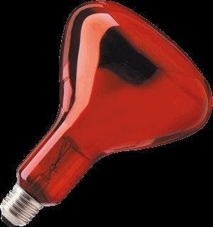 Philips Infraroodlamp met reflector - 57521025, Verzenden, Nieuw, Overige typen