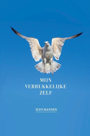 Mijn Verrukkelijke Zelf | Ilyo Hansen | Nieuw, Ophalen of Verzenden, Nieuw, Ilyo Hansen