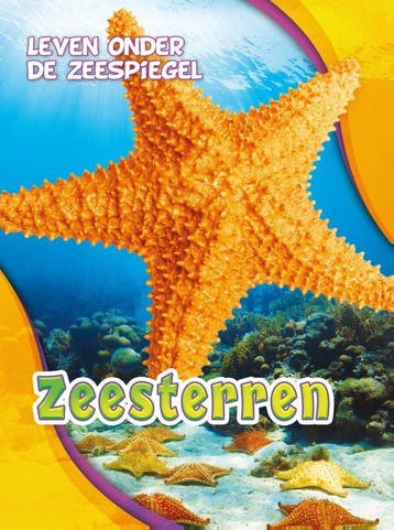 Zeesterren / Leven onder de zeespiegel - Rebecca Pettiford, Verzenden, Zo goed als nieuw, Rebecca Pettiford