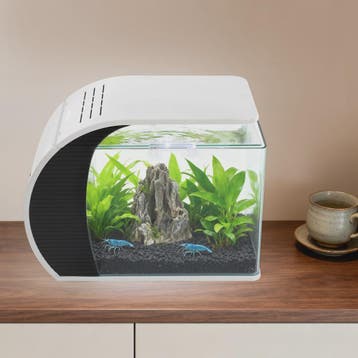 Moderne Glazen Aquarium Set met LED Verlichting en Filterpom, Verzenden, Nieuw